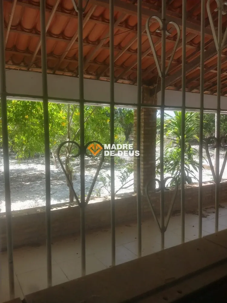 Terreno, 3 hectares - Foto 7