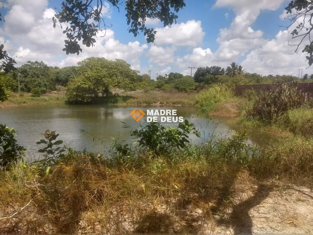 Terreno, 3 hectares - Foto 8