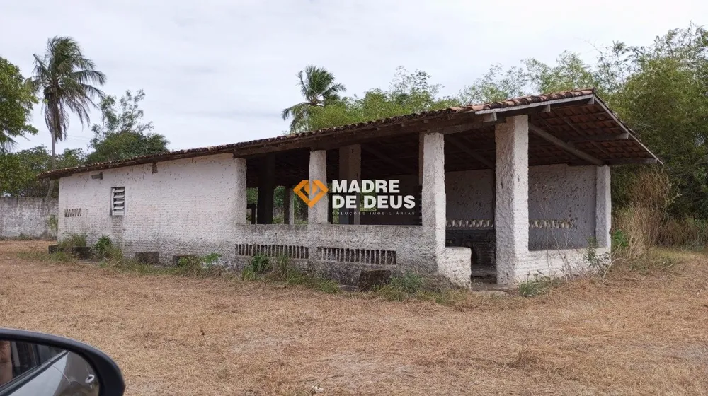 Terreno, 309 hectares - Foto 7