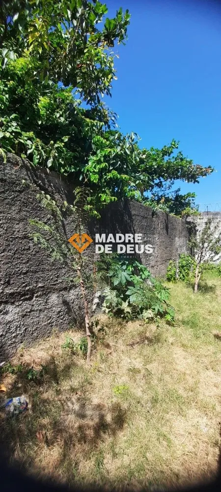 Terreno, 3325 m² - Foto 6