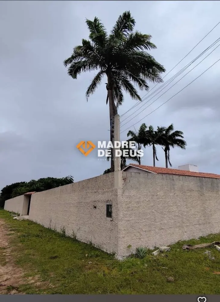 Sítio, 3 quartos, 4692 m² - Foto 1