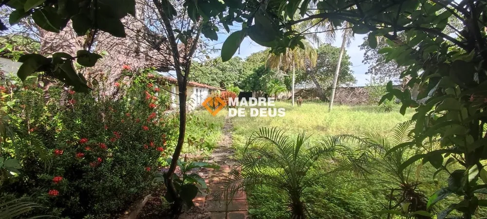 Casa, 6 quartos, 400 m² - Foto 5