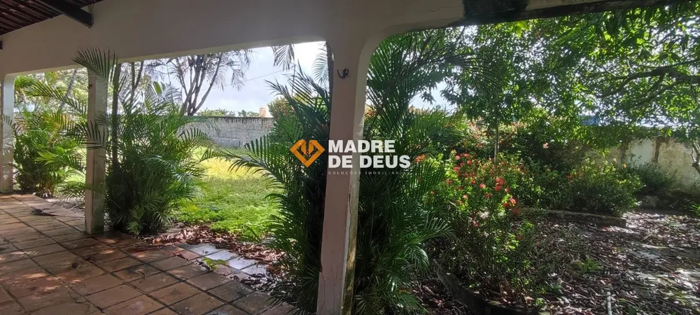 Casa, 6 quartos, 400 m² - Foto 6
