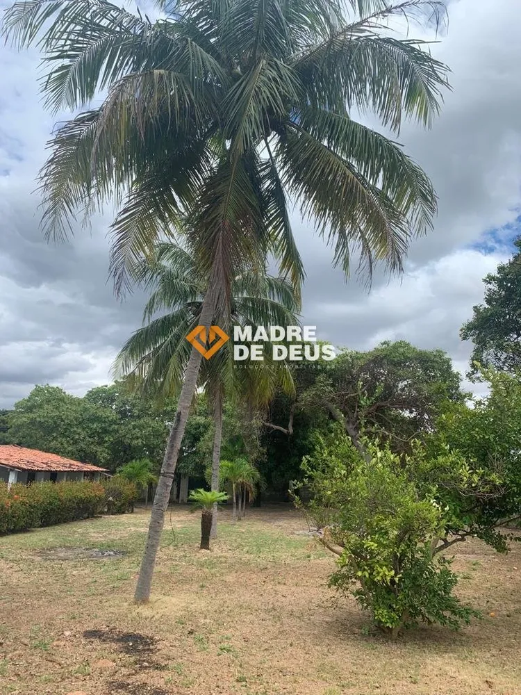Casa, 6 quartos, 400 m² - Foto 3