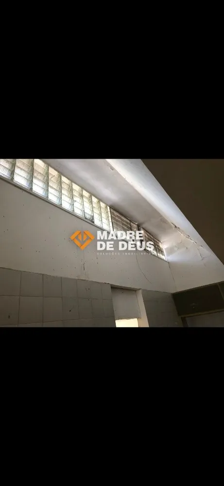 Casa, 4 quartos, 580 m² - Foto 7