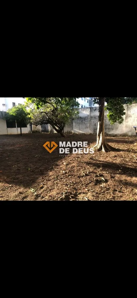 Casa, 4 quartos, 580 m² - Foto 3