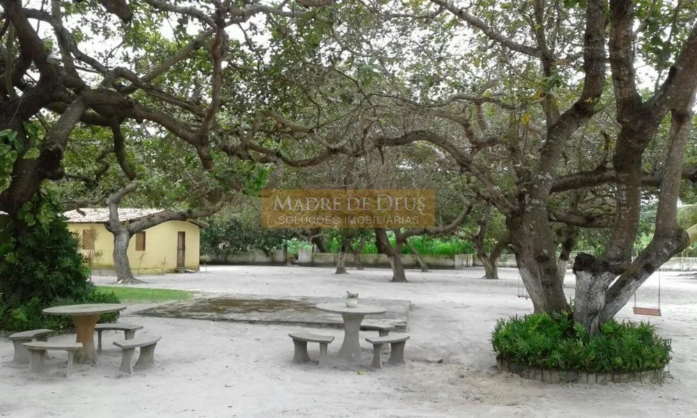 Terreno, 5 hectares - Foto 7