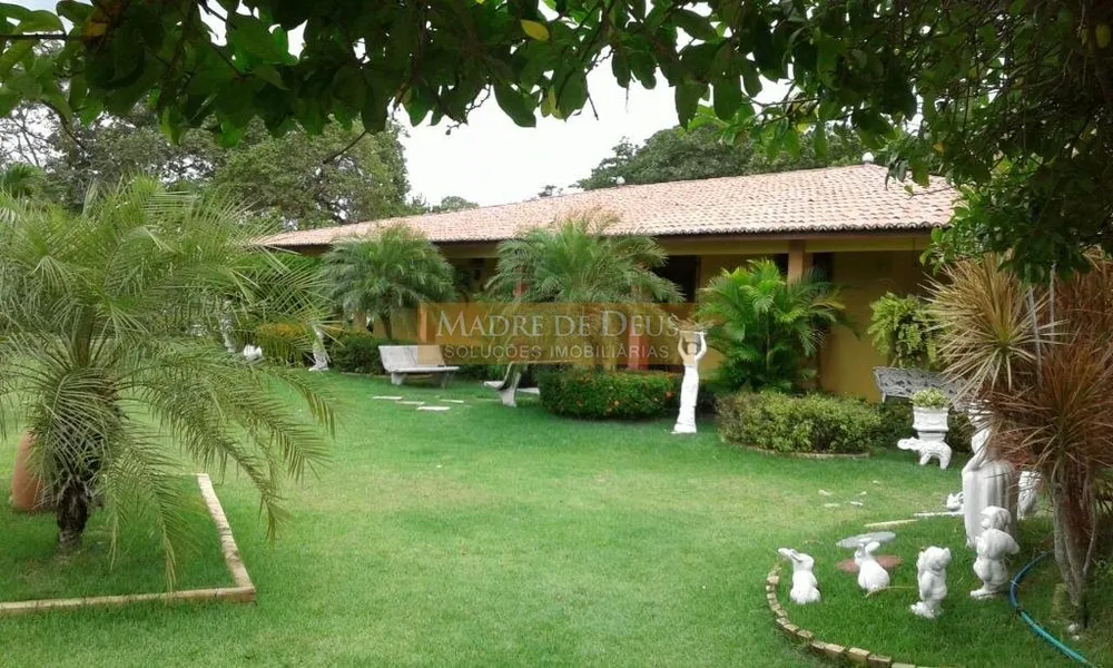 Terreno, 5 hectares - Foto 1