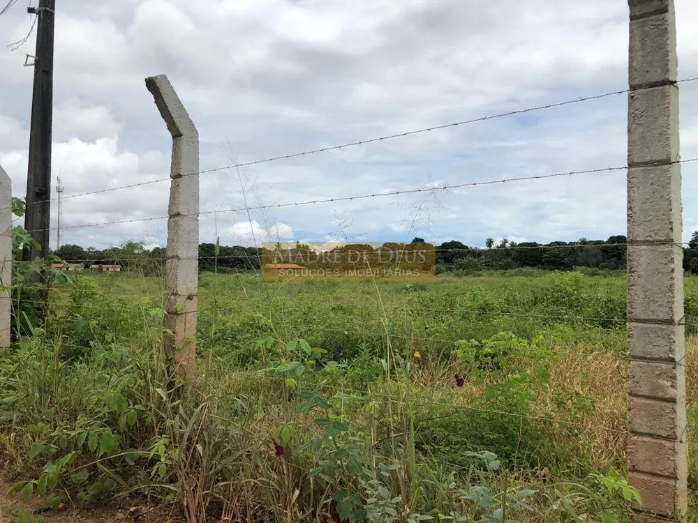 Terreno, 2 hectares - Foto 6
