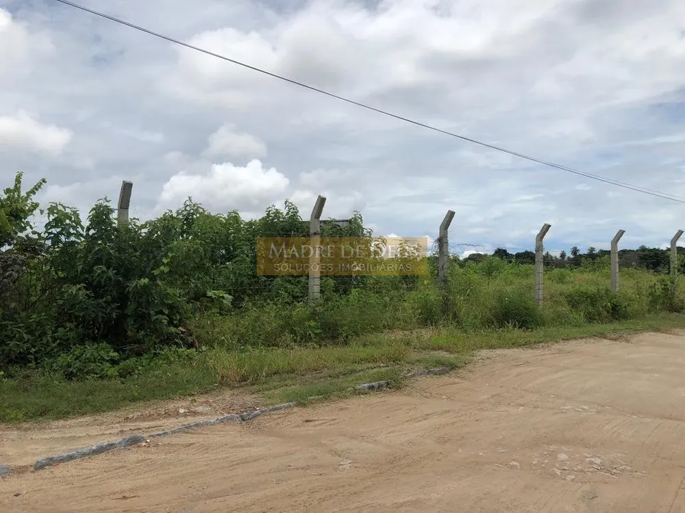 Terreno, 2 hectares - Foto 4