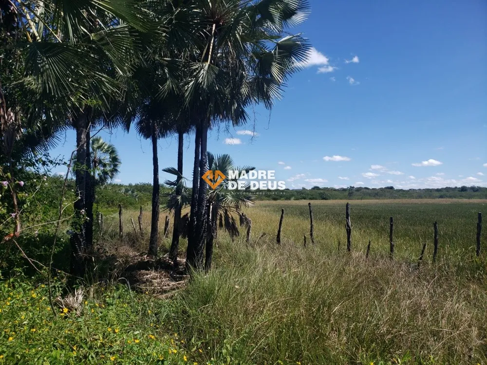 Terreno, 17 hectares - Foto 7