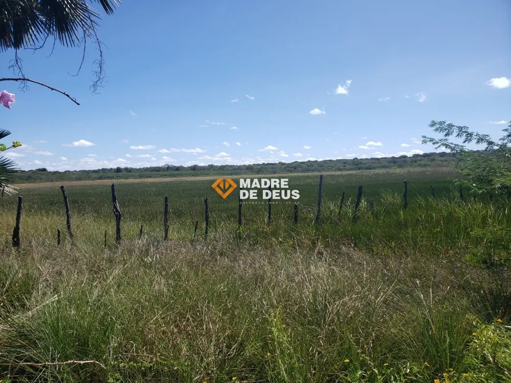 Terreno, 17 hectares - Foto 6