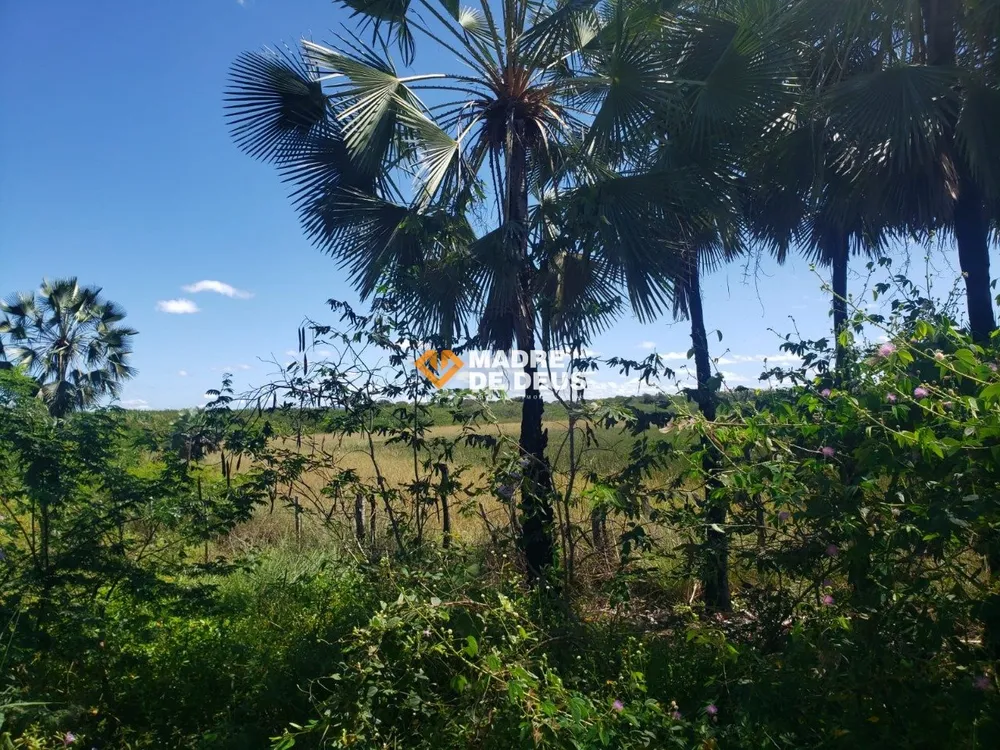 Terreno, 17 hectares - Foto 4