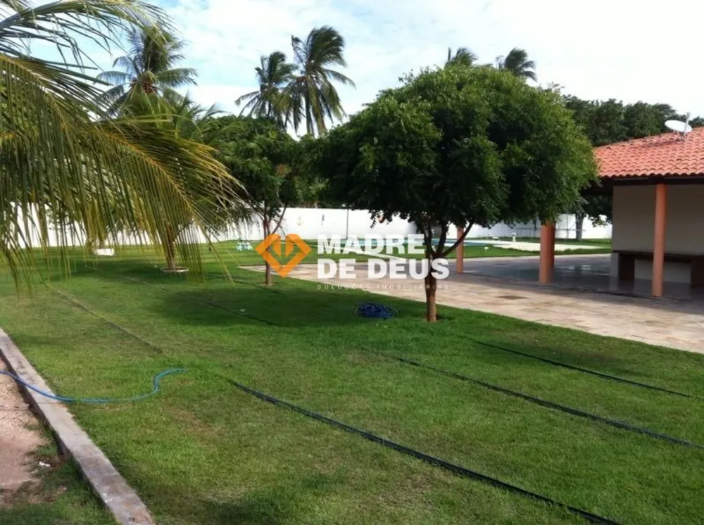 Sítio, 4 quartos, 6000 m² - Foto 2