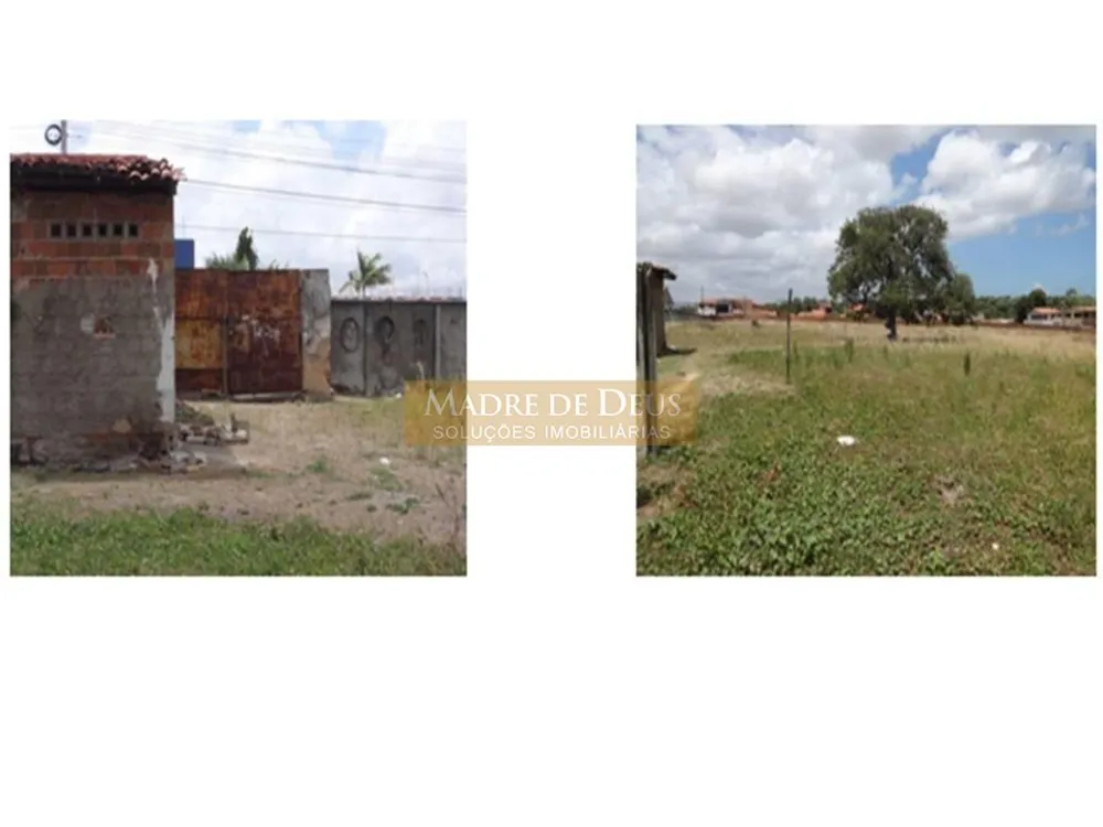 Terreno, 1 hectares - Foto 3