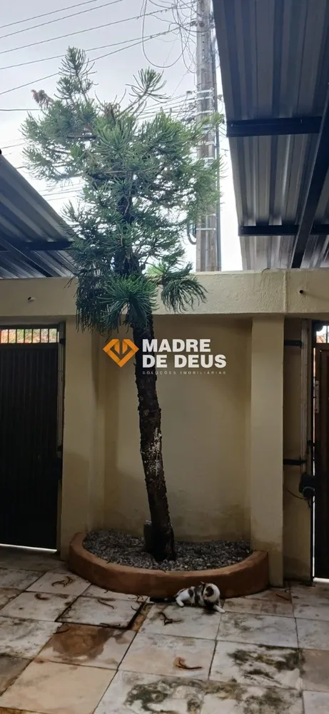 Casa, 4 quartos, 300 m² - Foto 3
