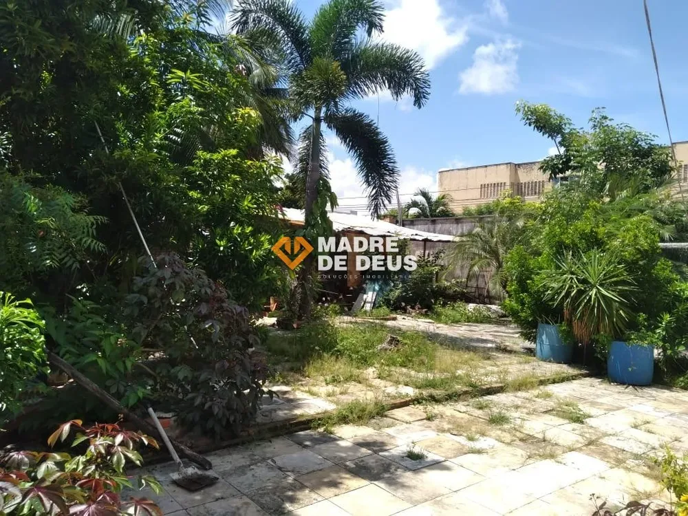 Casa, 4 quartos, 300 m² - Foto 4