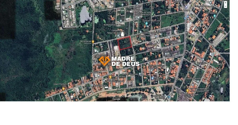 Terreno, 9569 m² - Foto 10