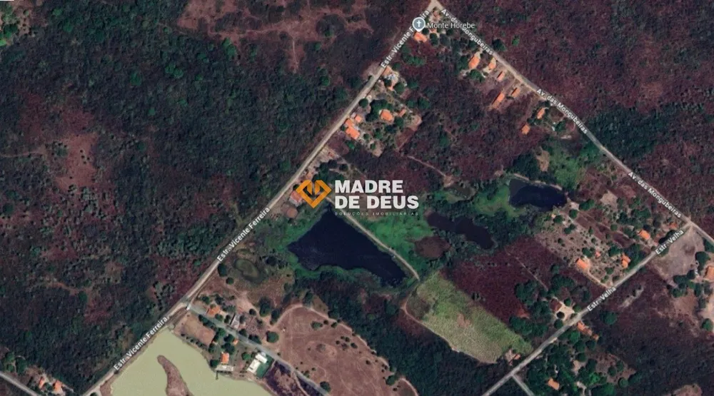 Sítio, 9 hectares - Foto 12