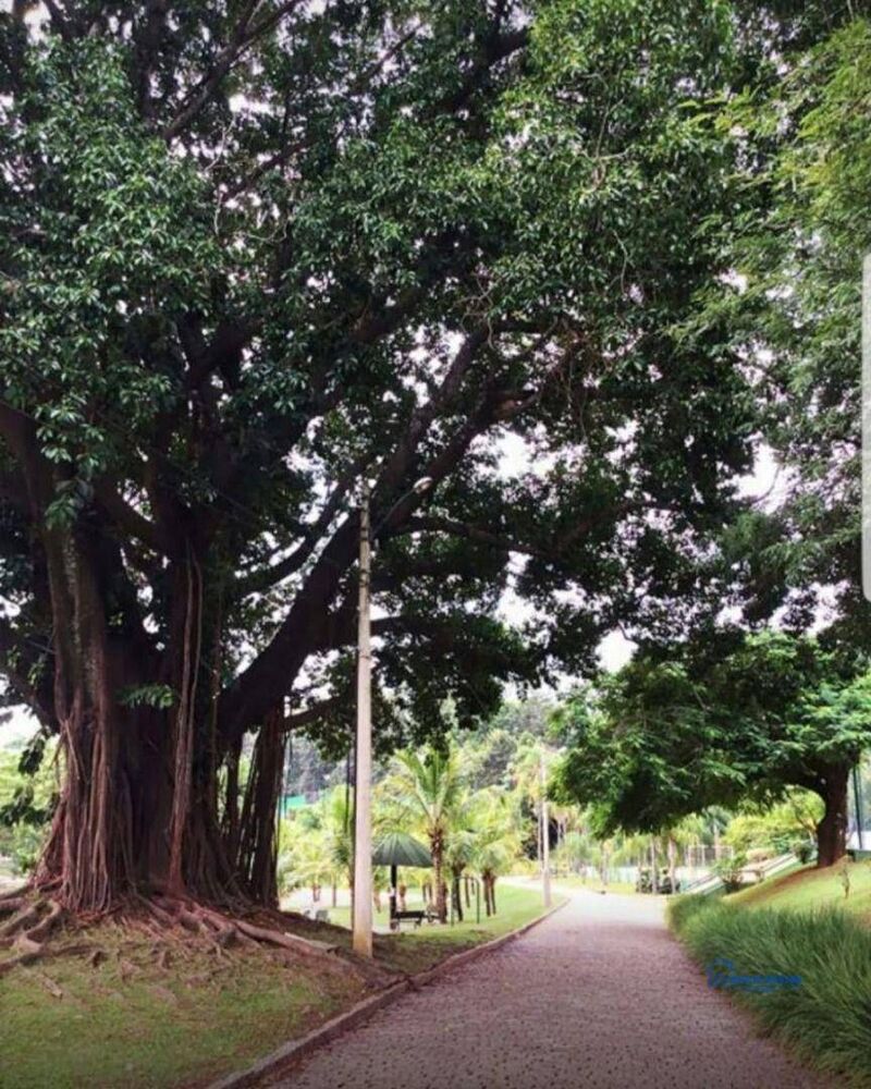 Loteamento e Condomínio, 689 m² - Foto 4