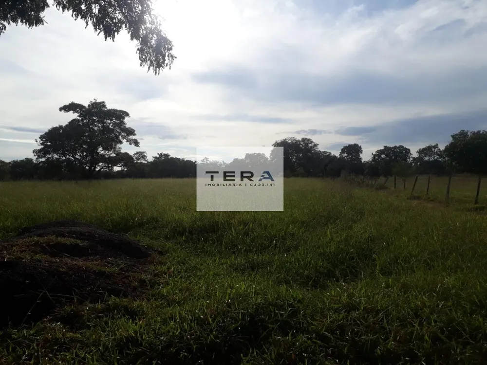 Terreno, 5 hectares - Foto 1