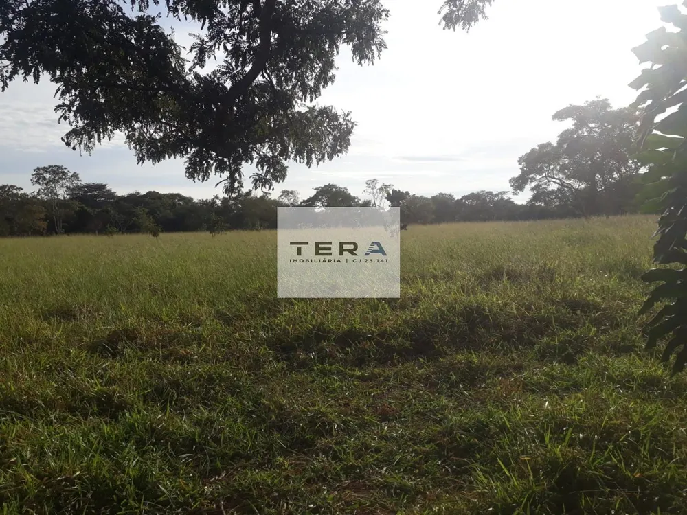 Terreno, 5 hectares - Foto 4