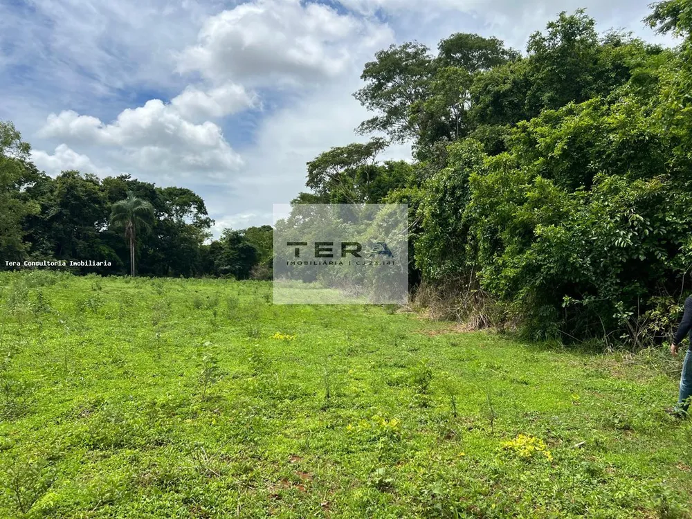 Terreno, 5 hectares - Foto 1