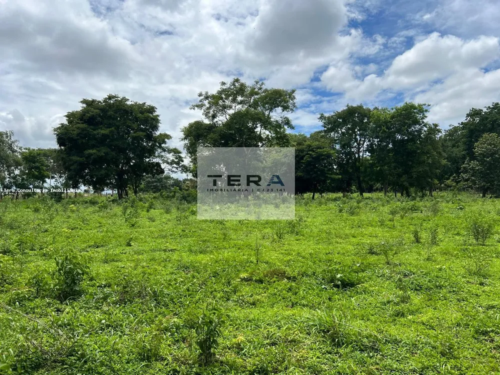 Terreno, 5 hectares - Foto 3