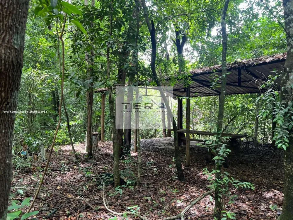 Terreno, 5 hectares - Foto 4
