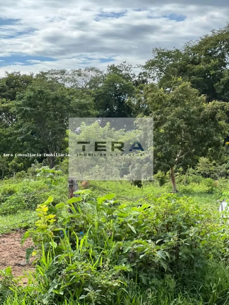 Terreno, 2 hectares - Foto 3