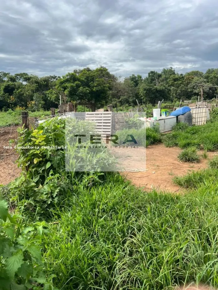 Terreno, 2 hectares - Foto 7