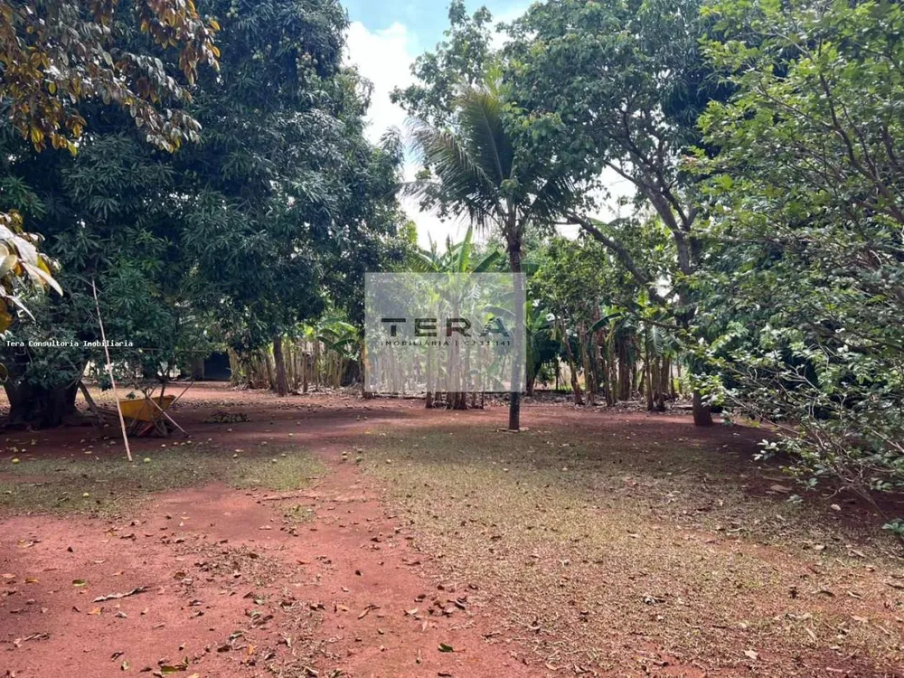 Chácara, 3 hectares - Foto 4