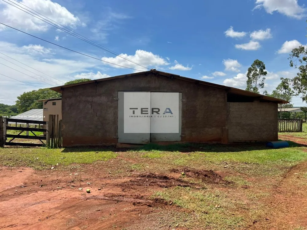 Chácara, 3 hectares - Foto 8