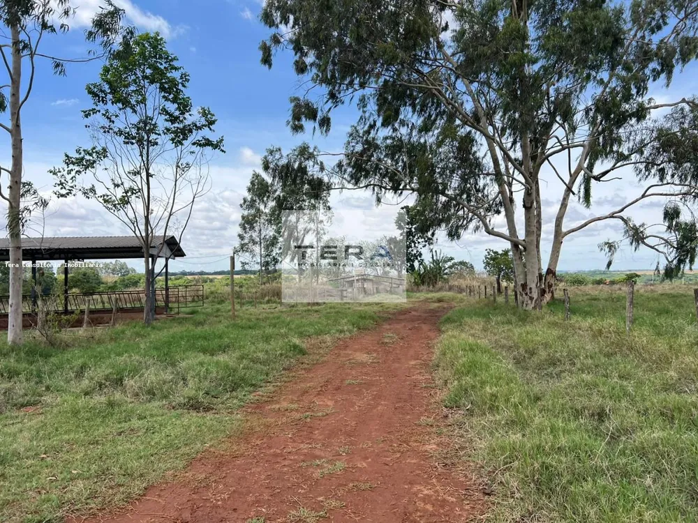 Chácara, 3 hectares - Foto 1