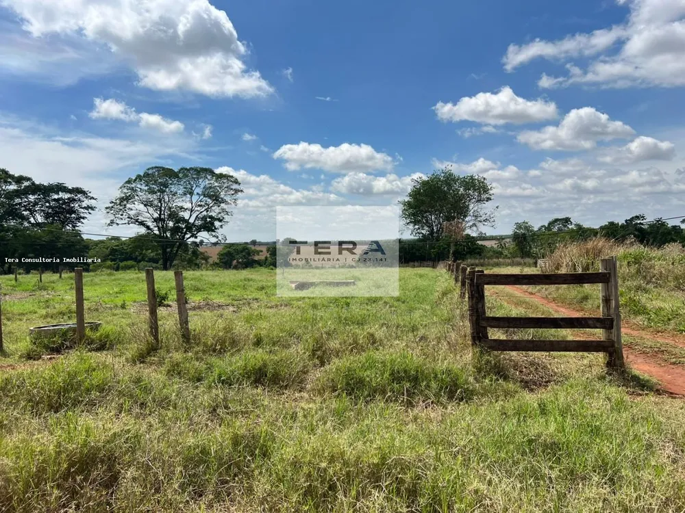 Chácara, 3 hectares - Foto 6