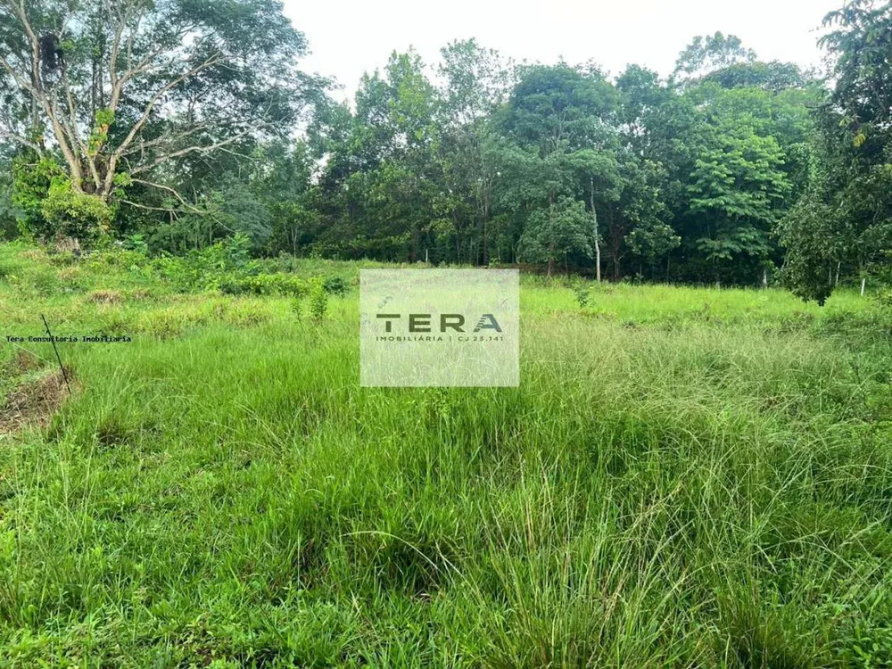 Chácara, 4 hectares - Foto 4
