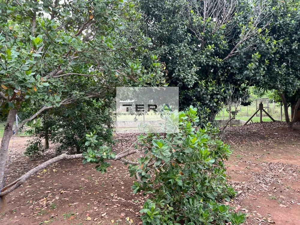 Chácara, 4 quartos, 6 hectares - Foto 2