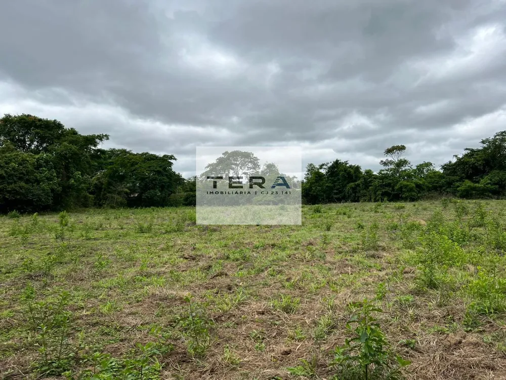 Chácara, 4 quartos, 6 hectares - Foto 4