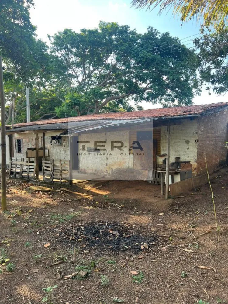 Chácara, 3 hectares - Foto 3