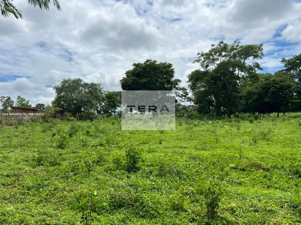Terreno, 5 hectares - Foto 1
