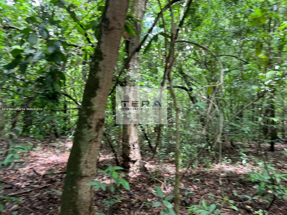 Terreno, 5 hectares - Foto 3