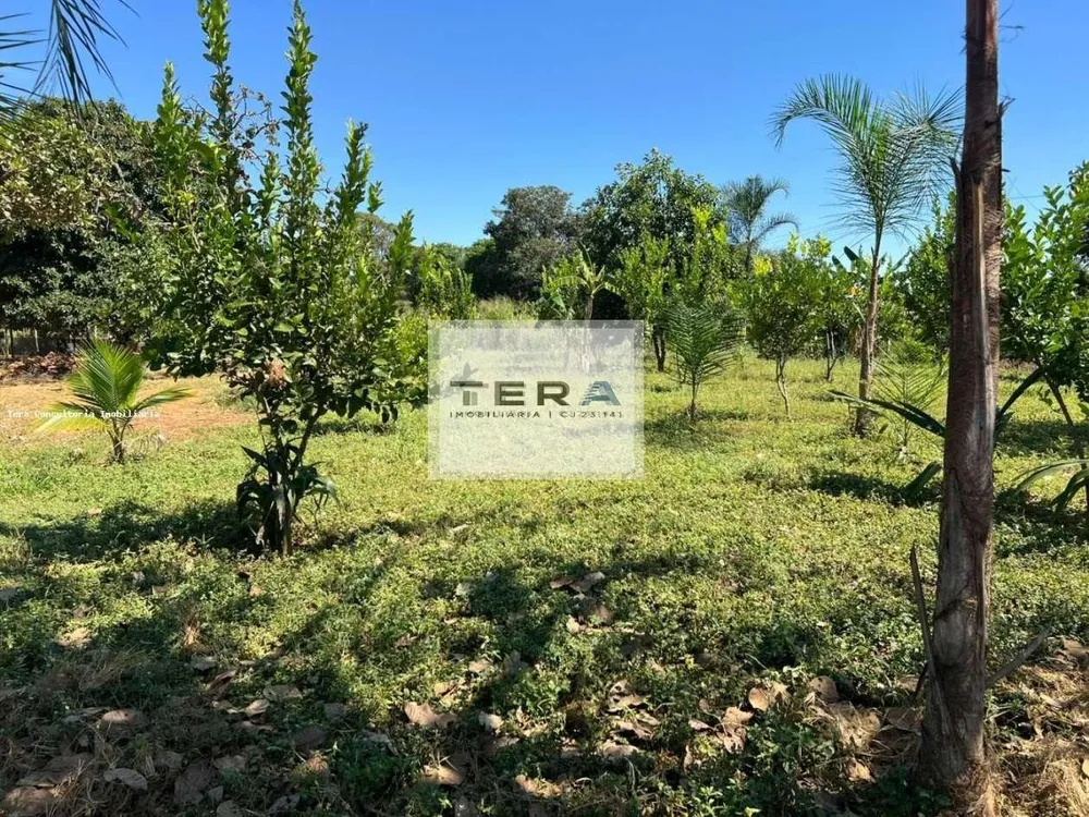 Chácara, 3000 m² - Foto 8
