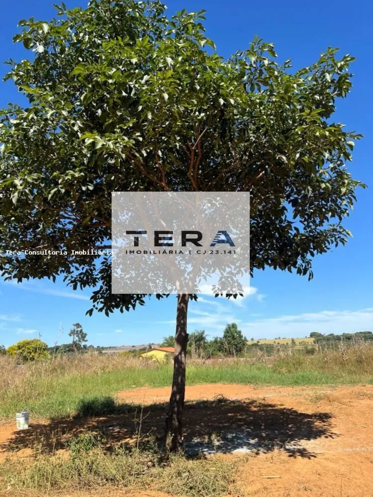 Chácara, 3000 m² - Foto 5