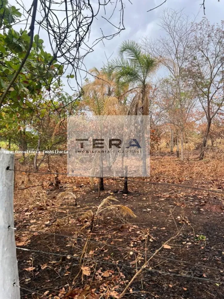 Chácara, 1 hectares - Foto 3
