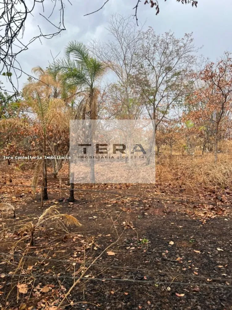 Chácara, 1 hectares - Foto 2