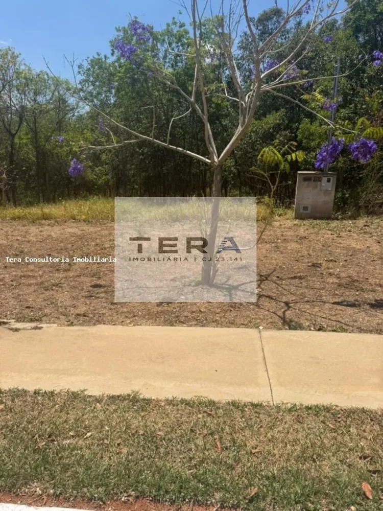 Terreno - Foto 4