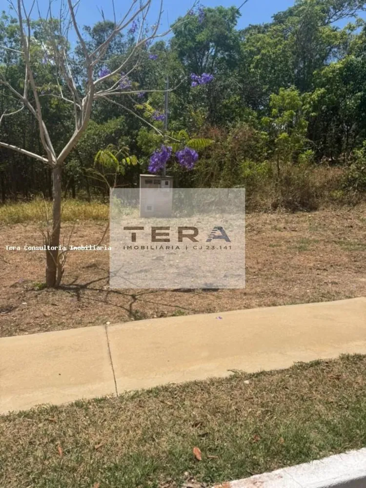 Terreno - Foto 2