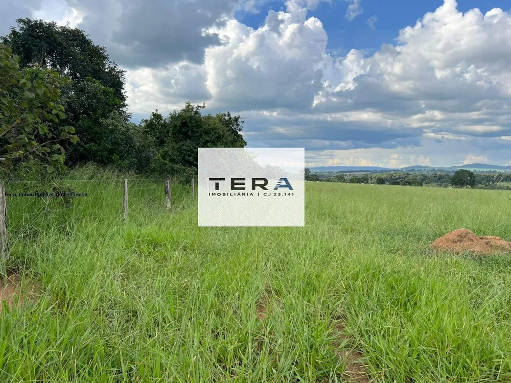 Fazenda, 115 hectares - Foto 4