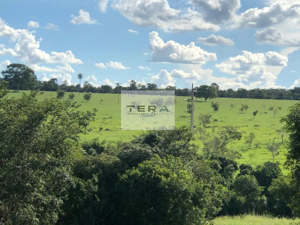 Fazenda, 115 hectares - Foto 7