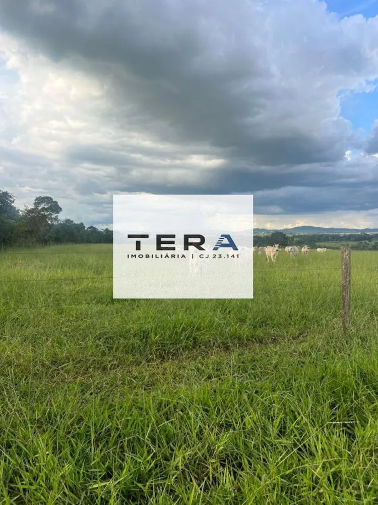 Fazenda, 115 hectares - Foto 3